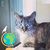Valerie Ernest's profile image