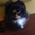 Barbara Tinkle's profile image