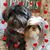 Sue Smith's profile image