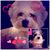Shirley Lisk's profile image