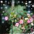 Roxanne MacNicol's profile image