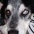 Mitchell Mouton's profile image
