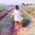 Natasha Rose's profile image