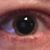 April Gregory's profile image
