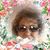 Marlene Chesney Himango's profile image