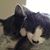Sandra Barta's profile image