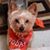 Sue Humphrey-Collins's profile image