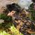 Joni Gregory's profile image