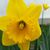 Gary Halvorson's profile image