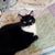 Diane Coger's profile image