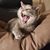Jenny Clausing's profile image