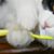 Cindy Bonilla's profile image