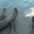 Rebekah Haferbecker's profile image