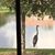 Sharon Jarvis- Bohren's profile image
