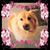 Beth Fenner's profile image
