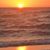 Dana Kabat Petrow's profile image