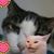 Kim Kinney's profile image