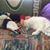 Shelley Holbach's profile image