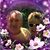 Cindi Toft Foley's profile image
