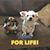 Chris N Joni Avera's profile image