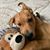 Brenda Weyers Gonzalez's profile image