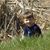 William Courtright's profile image