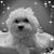 Debbie Bartolotti Miller's profile image