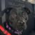 Lisa Fischer's profile image