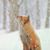 Charlie Talmadge's profile image