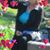 Jan Lapierre's profile image