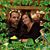 Lisa Glenn Ianuale's profile image
