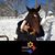 Shelli Irby Smith's profile image
