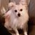 Peggy Madden's profile image