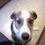 Jeffery A Davis's profile image