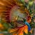 Cathleen Ali's profile image