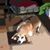 Kathy A Leafgreen's profile image