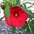 Debbie Hansen's profile image