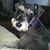 Doris Singer's profile image