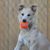 Bob Rotter's profile image
