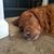 Matthew M D'Imperio's profile image