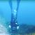 Elana Ames's profile image