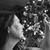 Pam Chamberlain Palmer's profile image