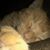 Julie Conrad Polcyn's profile image