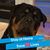 Linda DuChemin Olsen's profile image