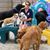 Sherri Bucher Ruston's profile image