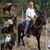 Roger Furr's profile image