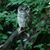 Pam Jones's profile image
