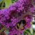 Beth Oswalt's profile image