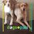 Jessica Scott Melby's profile image