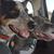 Sandy Harris's profile image